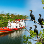 Rejs do Kolonii Kormoranów - atrakcja