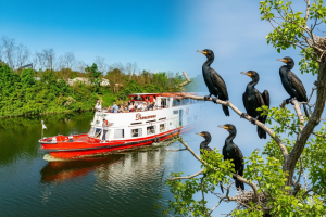 Rejs do Kolonii Kormoranów - atrakcja