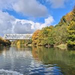 Jesień na Kanale Gliwickim - Marina Gliwice